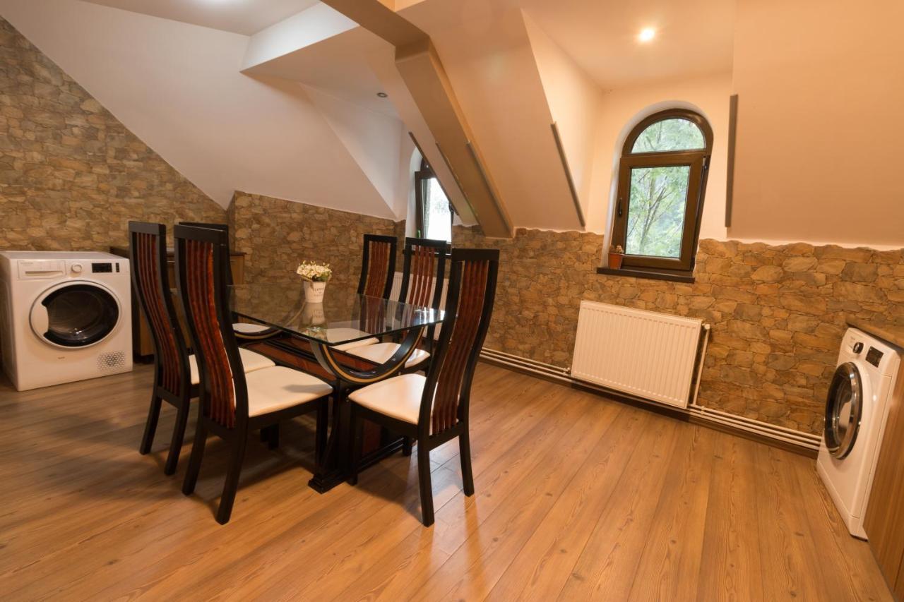 Ferienwohnung Downtown Park Loft Sinaia Exterior foto