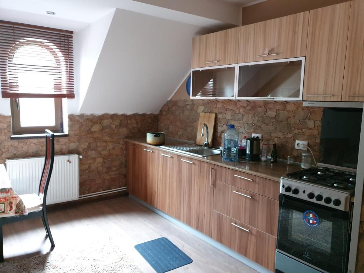 Ferienwohnung Downtown Park Loft Sinaia Exterior foto